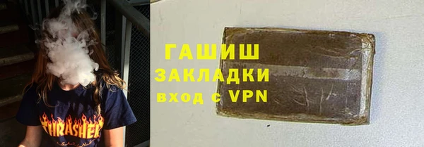 шишки Няндома
