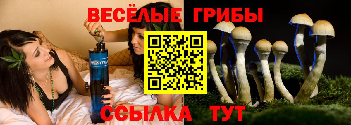 Галлюциногенные грибы мицелий Старая Русса